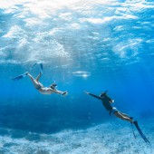 Nhật Bản: Điểm đến lí tưởng của hội mê lặn biển